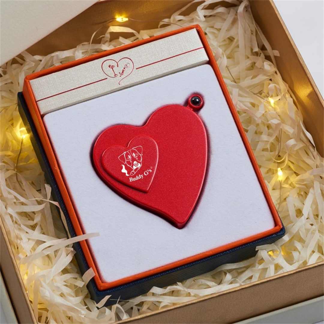 Dual Burner Butane Refillable Jet Torch and ARC Electronic Heart-shaped Lighter